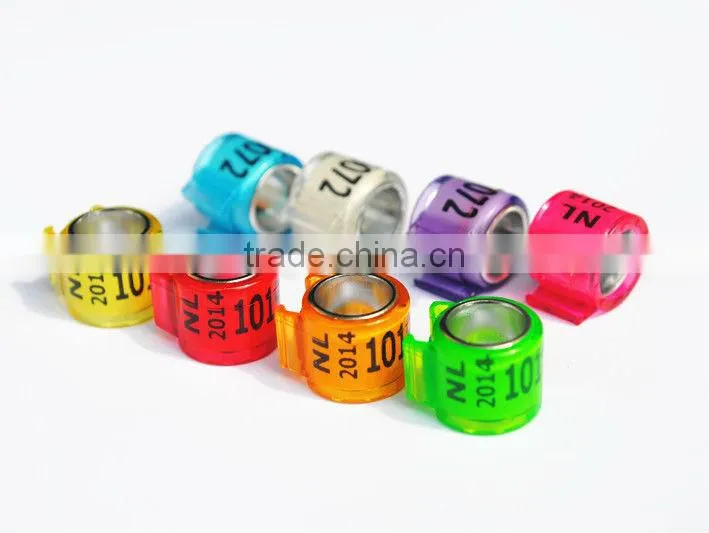 2015 Stretch Band Rings For Pigeon