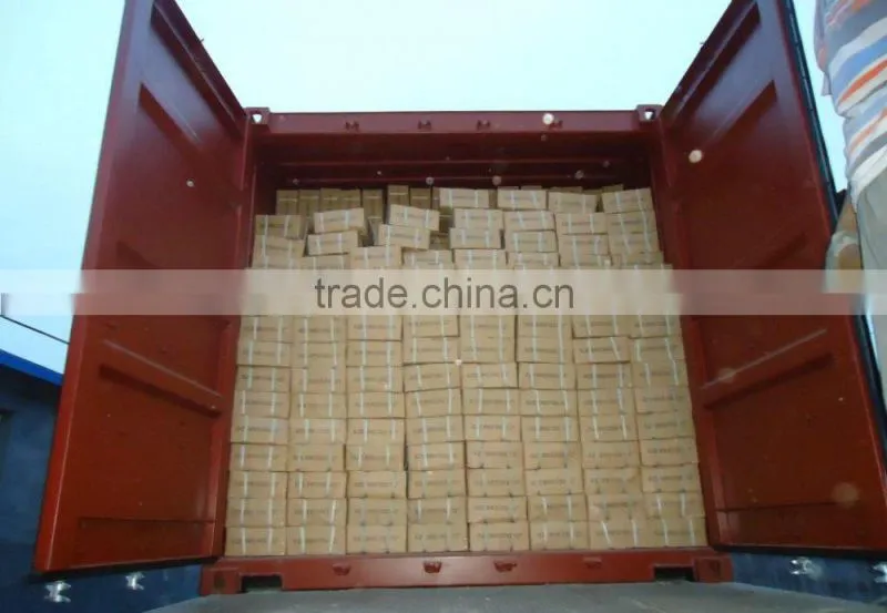 umbrella head Iron nails, galvanized nails, iron nails,coil nails, nails supplier