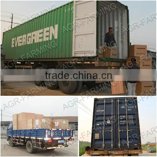 Multi-functional Chicken Plucking Machine for sale