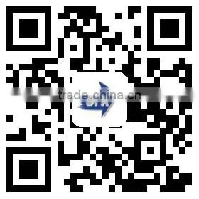 China Poultry Chicken Egg Poultry Farm