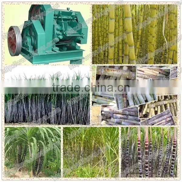 Mayjoy hot sale stainless steel sugar cane press machine with best price