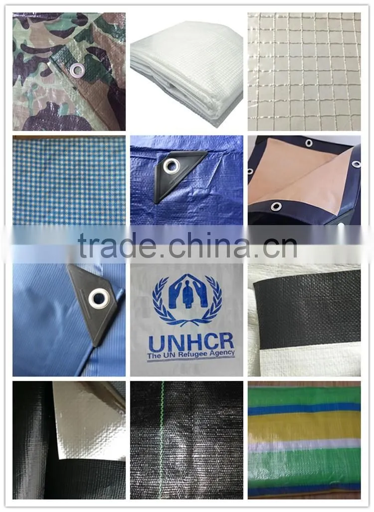 The cheap PP/PE Tarpaulin