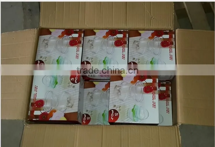 2015 Different color lid 5 pcs glass bowl set