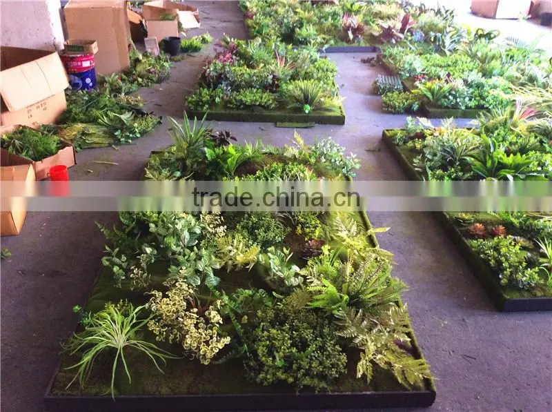 Home garden wedding decoration 200cm*100cm green original succulent with moss carpet grass wall E03 0506