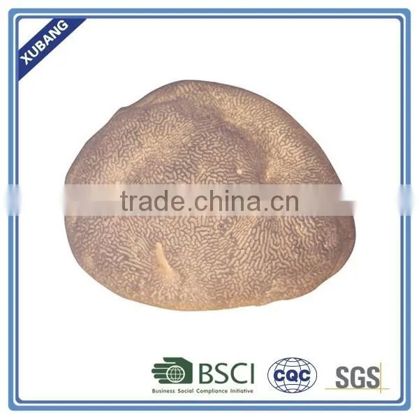 Coral stone garden lamp for decoration