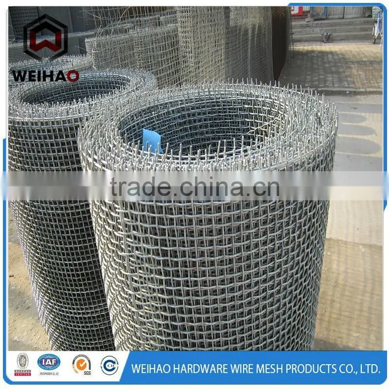 12 Gauge Black Steel Wire/Galvanized Steel Wire