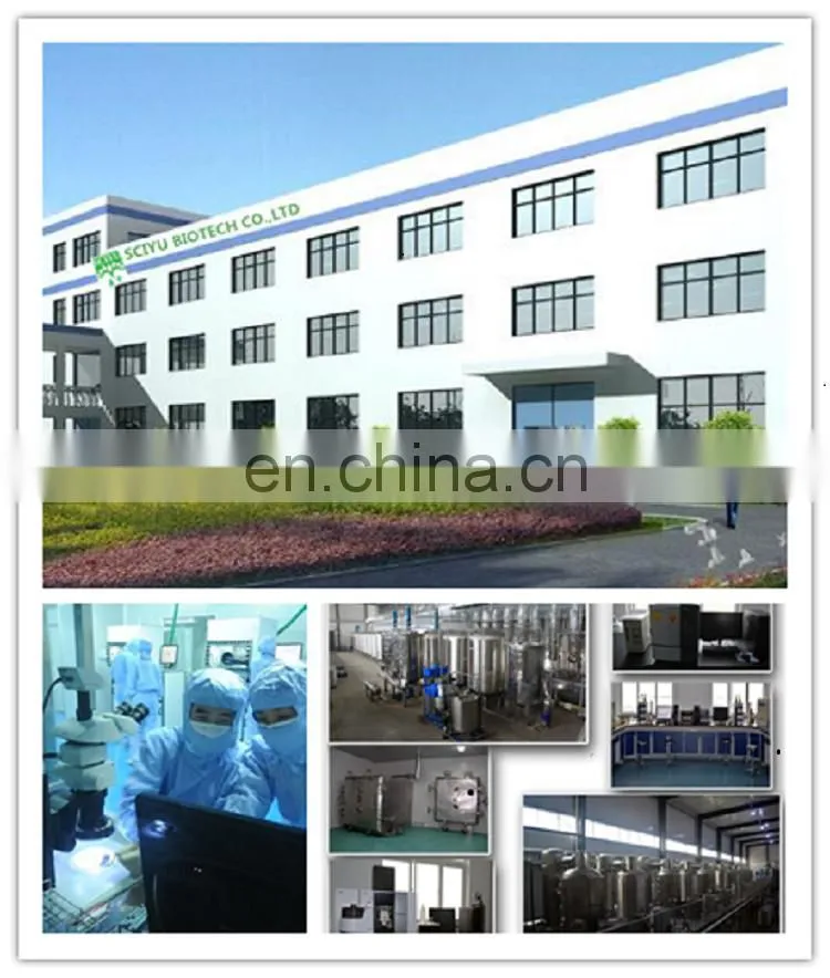 Factory supply drynaria fortunei powder
