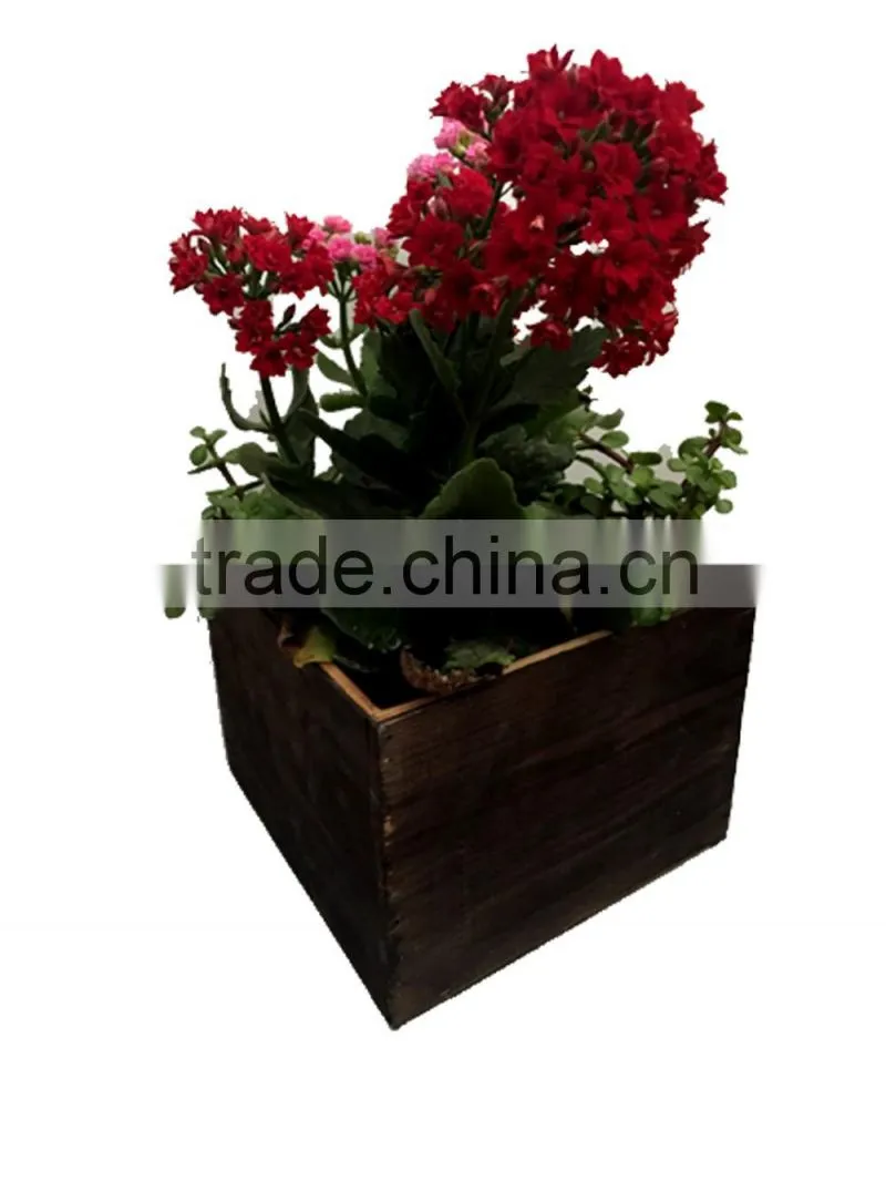 set of 2 flower pots, pots garden, wood plant pots