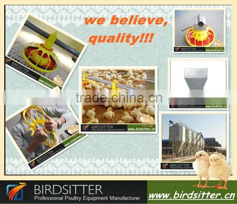 new year warm welcomed chicken and broiler use poultry feeding system