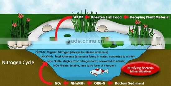 all-in-one koi pond filter system