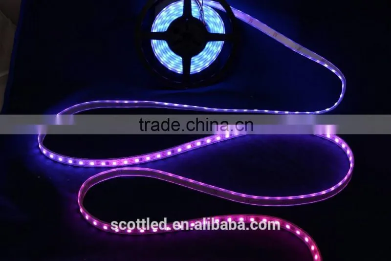 Waterproof IP67 Decoration DC12V SMD5050 60 Leds WS2811 Digital Led Tape/WS2811 Led Strip