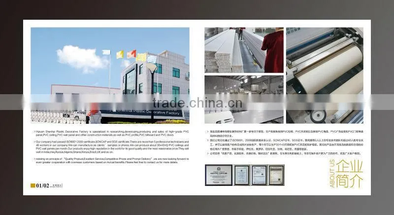 hot-sale china cheap ceiling panel from china