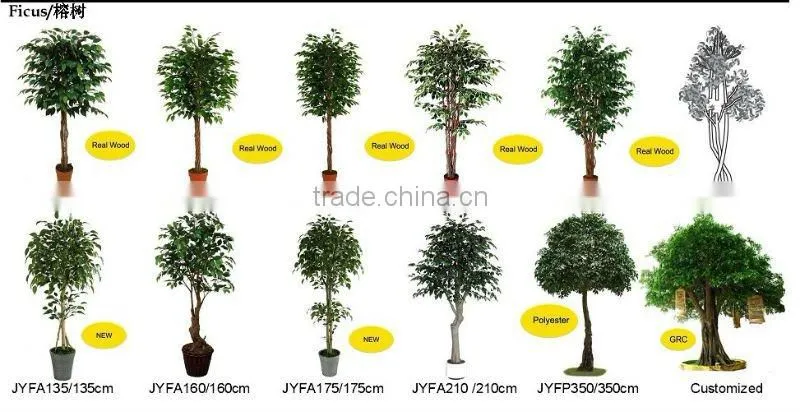 splendid man-made Ficus tree for decoration