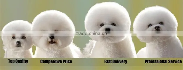 Latest Technology dog products
