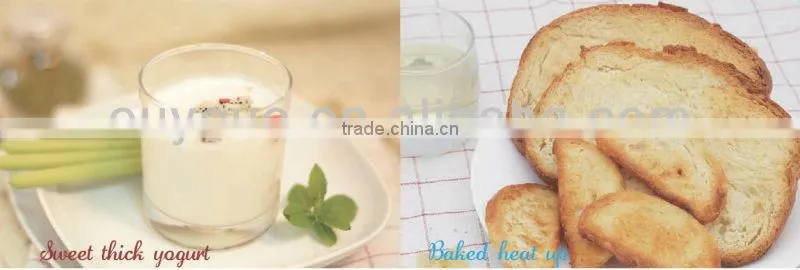 best bread toaster