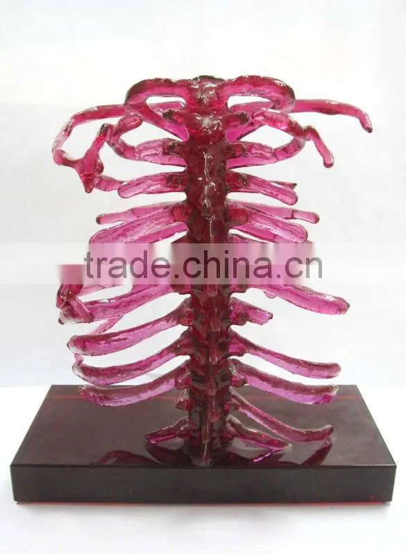 crystal skeleton statues--home decoration craft--BJ159