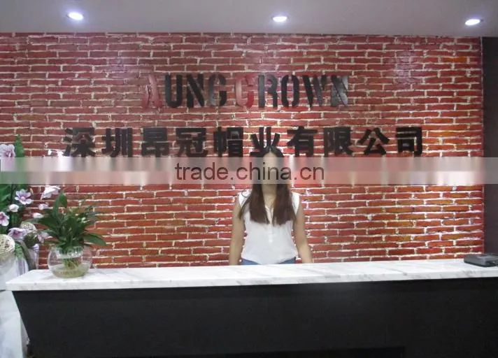 Shenzhen Aung Crown Caps & Hats Industrial Ltd. company overview - view 2