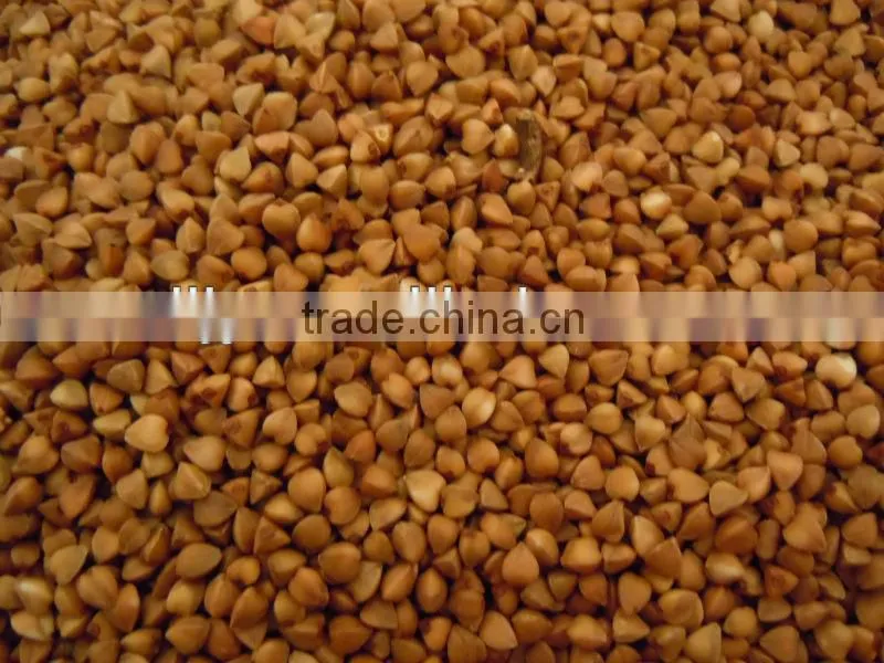 Rosted Buckwheat Kernel,Roasting Buckwheat,Buckwheat