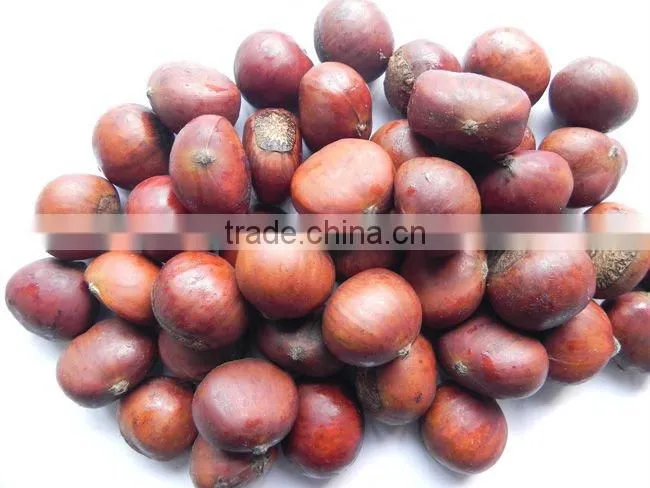 Natural soft and sweet frozen roasted chestnuts