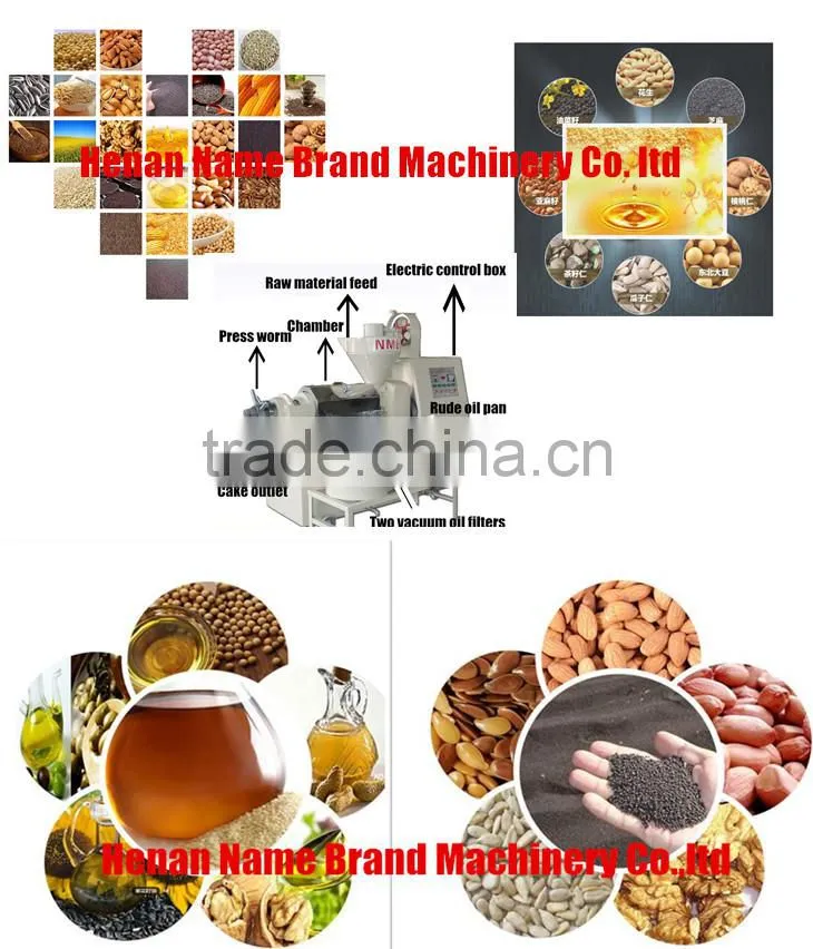 stainless steel jatropha oil press machine, vegetable oil press machine, black seed oil press machine