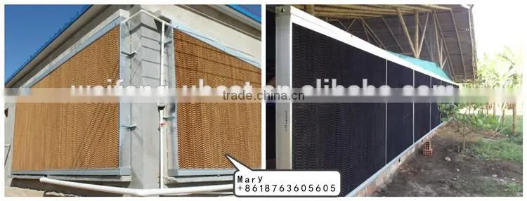 Industrial chicken shed/broiler farm/poultry house construction design