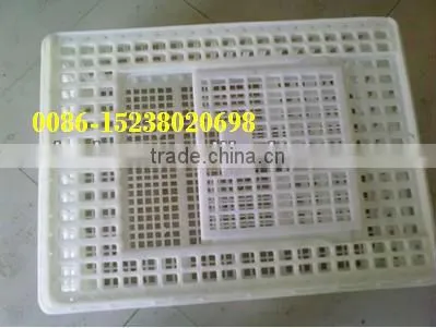 Live chicken box/transportation chicken cages