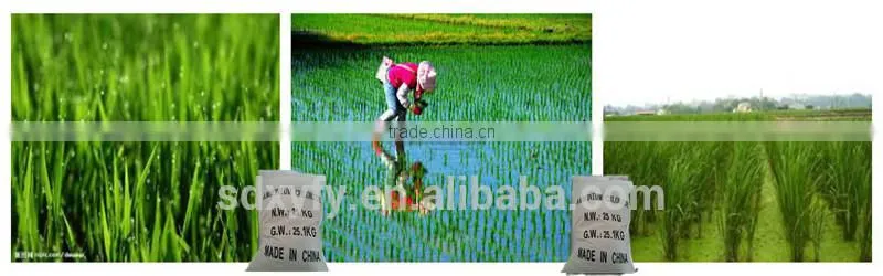 Crystal ammonium chloride