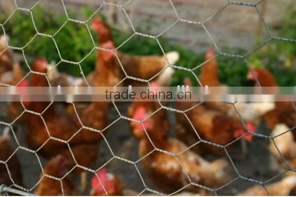 Hex wire netting/hexagonal retaining wall wire netting