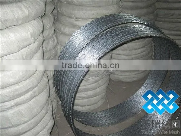 razor barbed wire fence
