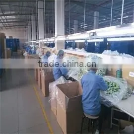 Guangzhou Vpower Trading Co., Ltd. company overview - view 3
