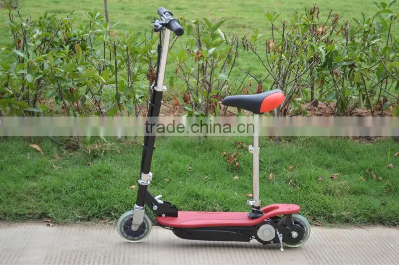 electric scooter/electric skateboard in America
