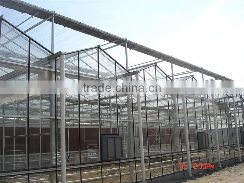 Light steel structure multi span glass greenhouse for modern agriculture