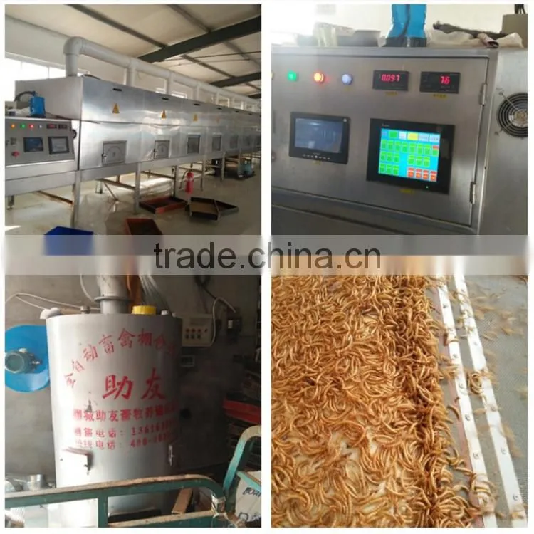 Pet Food Tenebrio Molitors &Dried Mealworm