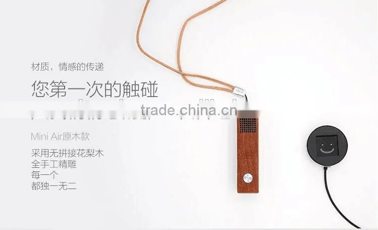 Newest Wearable Air Purification Apparatus Minimum USB Minus-Ion Air Purification Apparatus
