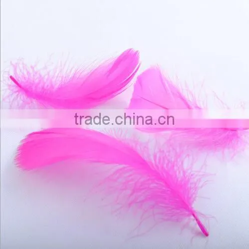 cosplay colorful feather wings