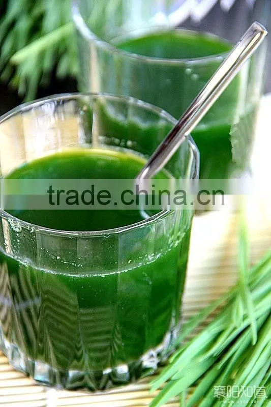 New Stainless Steel Wheat Grass/Hand Juicer/Manual Wheatgrass Extractor