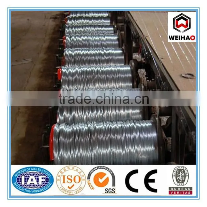 Electro/Hot Dipped Galvanized iron Wire/gi wire/china manufactory