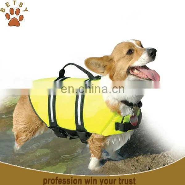 pet safety