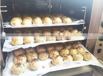 2016 new style convection oven/baking bread proofer