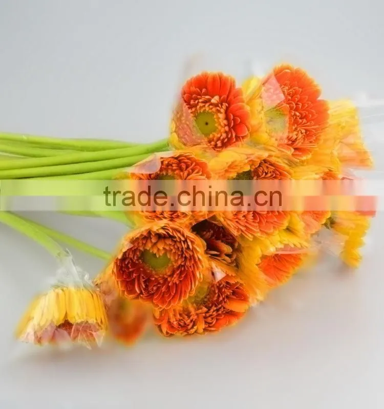 Newest Golden Sun cute gerbera flower