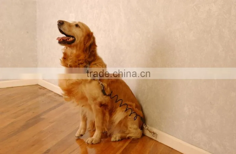 Pet plastic PP protection cover for dog
