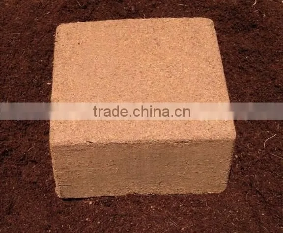 coir pith importers