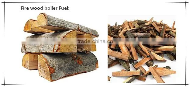 Industrial biomass boiler supplier/price biomass steam boiler