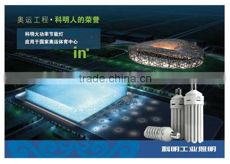 Hight Lumen 8000 Hours Energy Saving Lamp