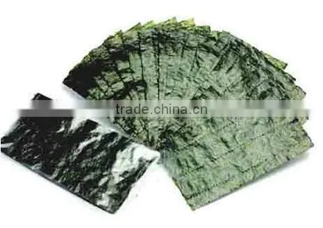 green leaves microwave dryer