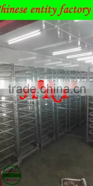 Display Flower Trolley.Display Cart.Plants Trolley. Mesh Cart .Steel Roll Trolley Garden Tool cart Steel Rolling Trolley Tool