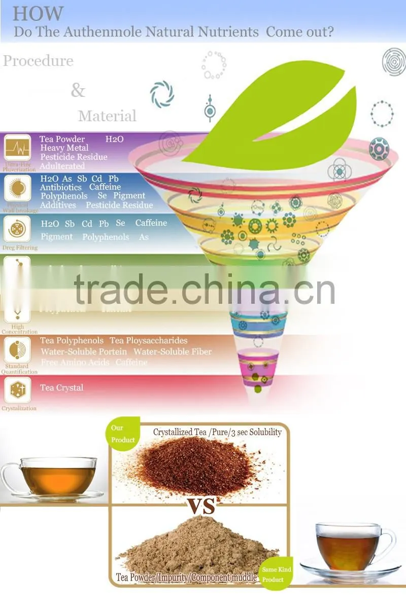 Korean Gineng Extract with good quality