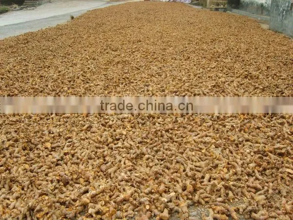 Galangal root export to Sudan