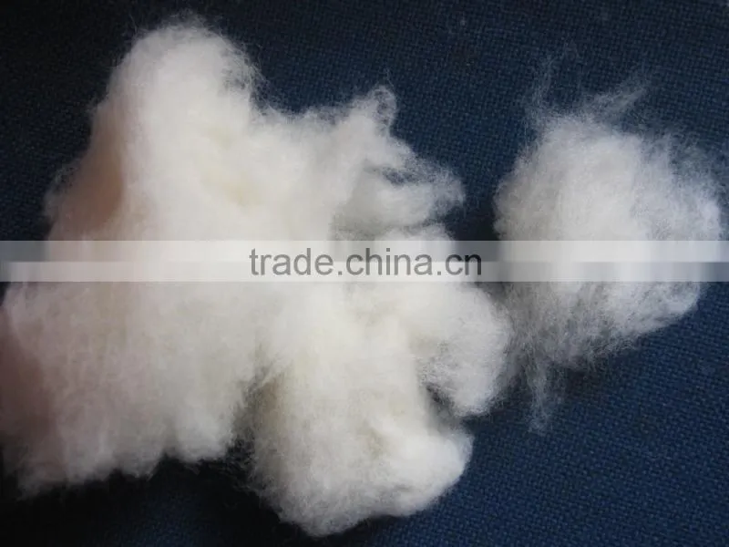 Chinese best quality of sheep wool combing 20.5mic,40-50mm raw white color,substitute of carbonized wool