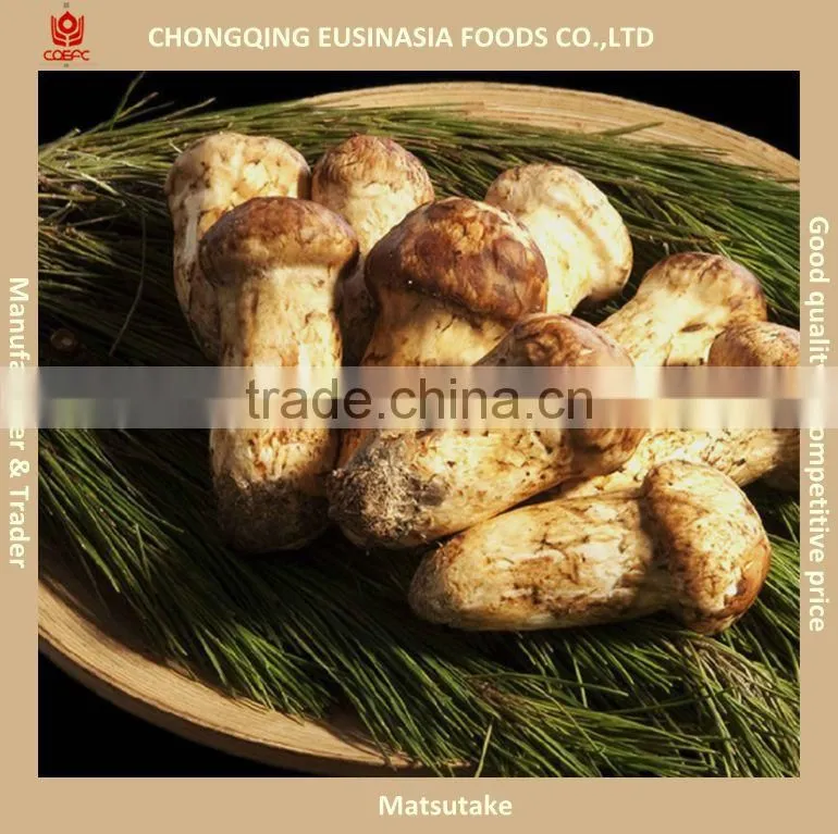Truffles tartufi, Chinese truffle